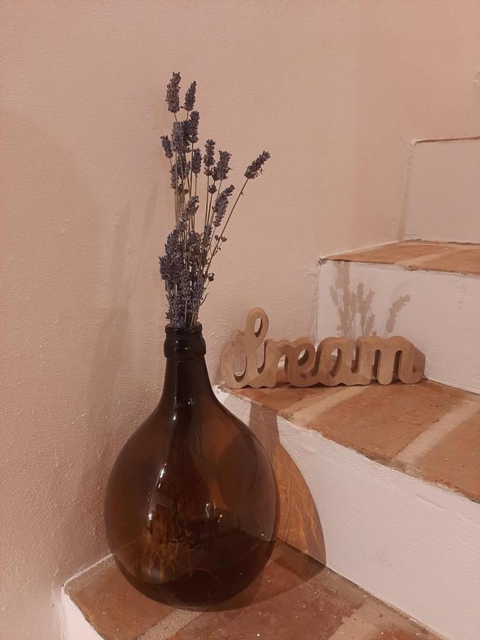 Apartamento Casa Nonna Tereza Premantura Exterior foto